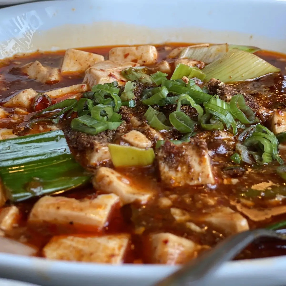 mapo tofu 麻婆豆腐